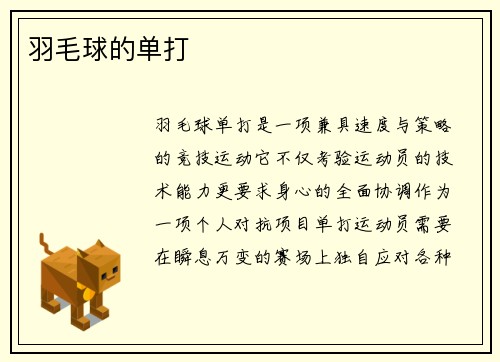 羽毛球的单打