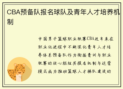 CBA预备队报名球队及青年人才培养机制